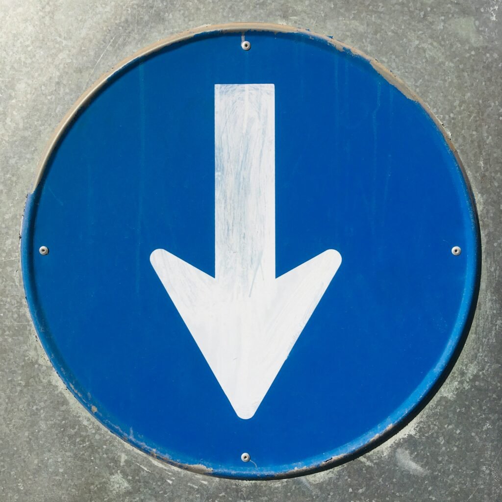 david pisnoy 5e7shzeihn8 unsplash